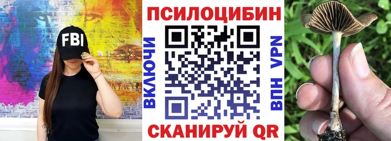 Галлюциногенные грибы мицелий  где найти   Никольск 